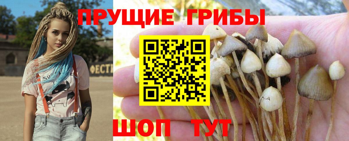 Галлюциногенные грибы Psilocybe Маркс
